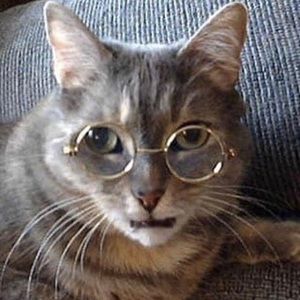 Meet your Posher, Rose